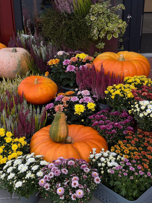 Bohema – tai ne stilius. Tai būsena