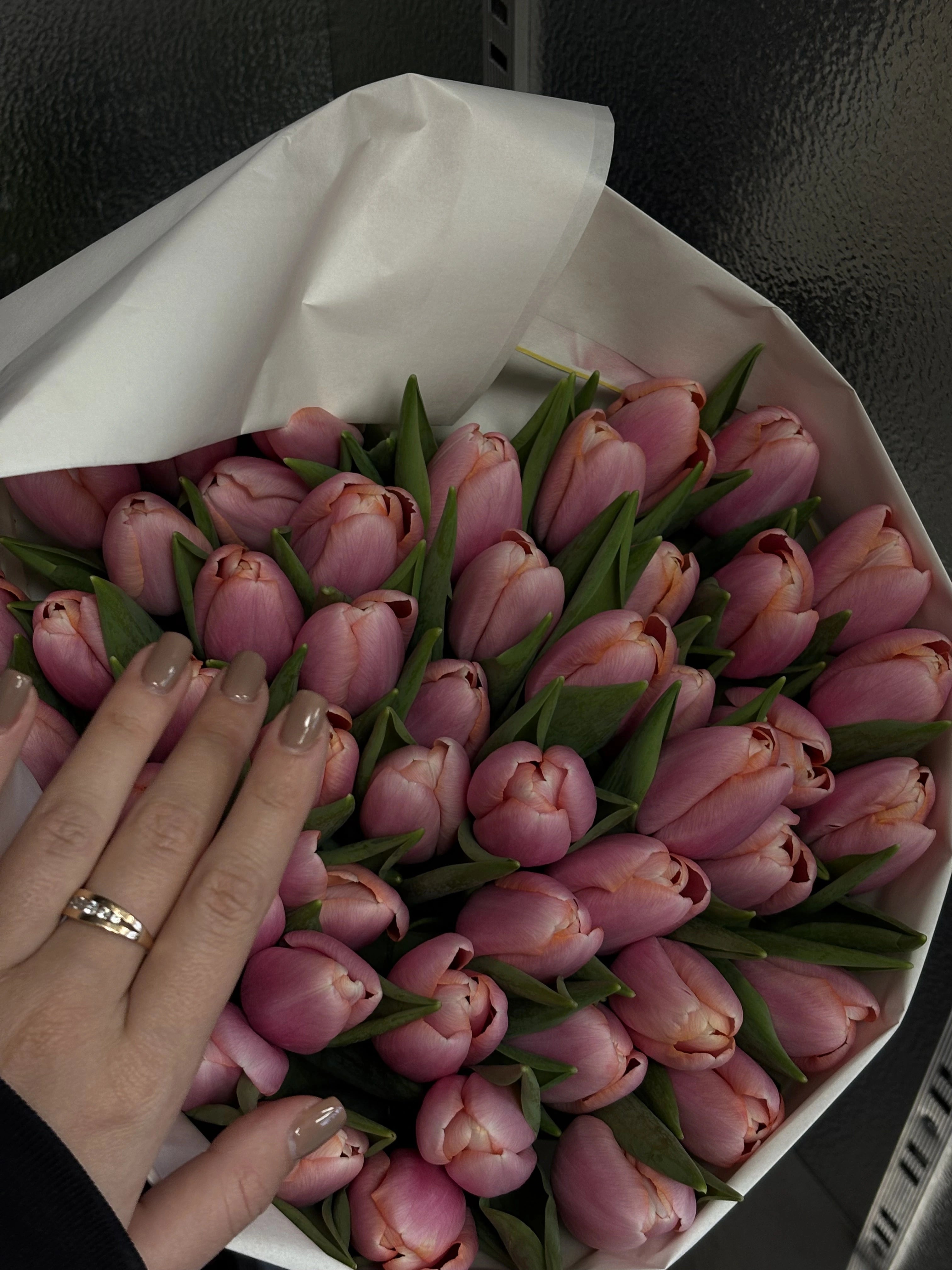 Šviesiai rožinių tulpių puokštė su žaliais lapais, artimas kompozicijos vaizdas