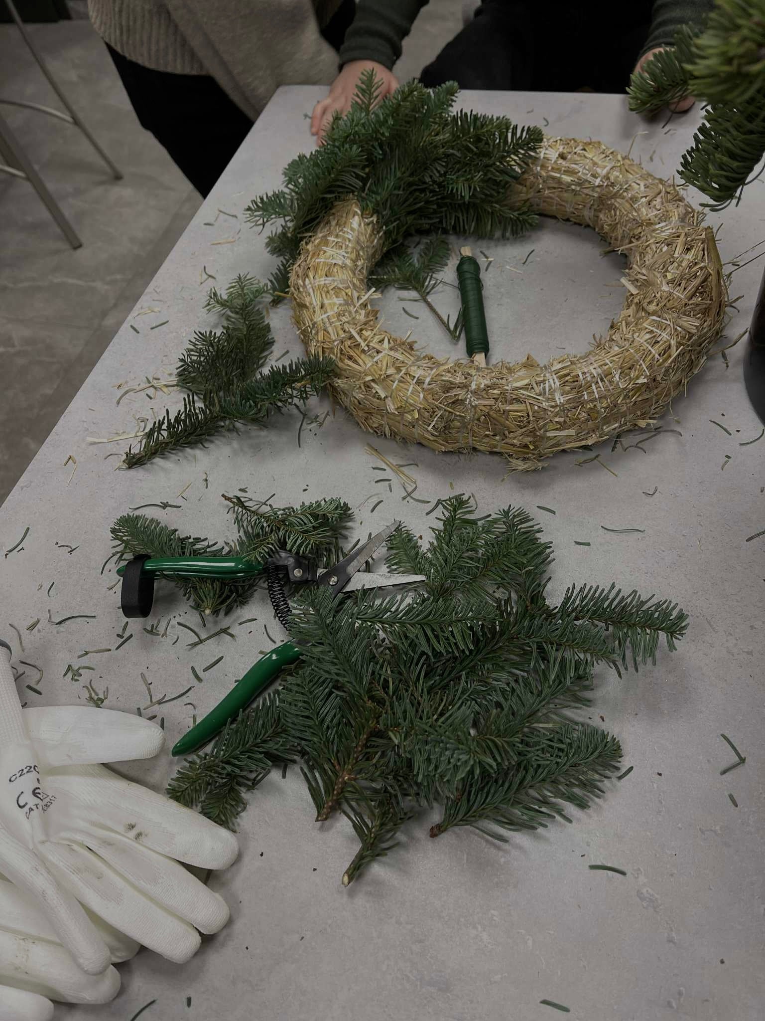 Žalios spygliuočių šakos ir vainiko pagrindas, ruošiamas rankų darbo žalumos kompozicijai